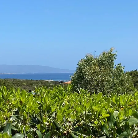 Sole E Mare *
